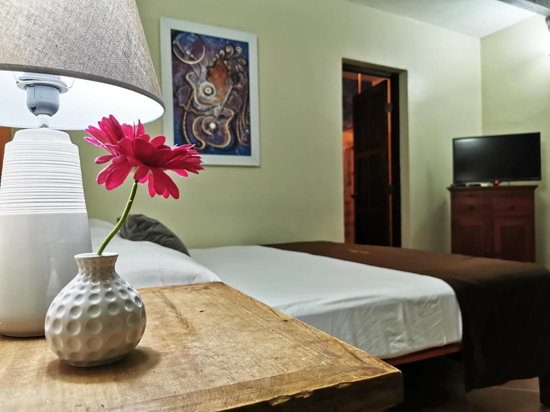Boutique Hotel Colonial サントドミンゴ エクステリア 写真